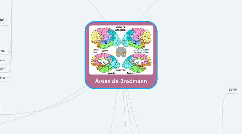 Mind Map: Áreas de Brodmann