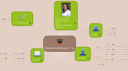 Mind Map: Examen werkproces 3.1