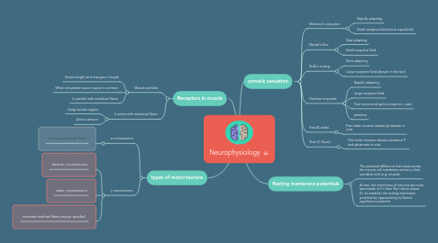 Mind Map: Neurophysiology