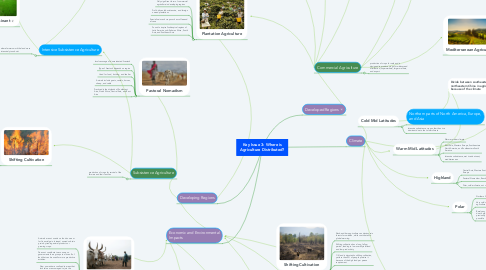 Mind Map: Key Issue 3: Where is Agriculture Distributed?