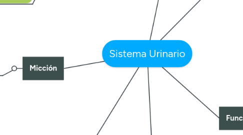 Mind Map: Sistema Urinario