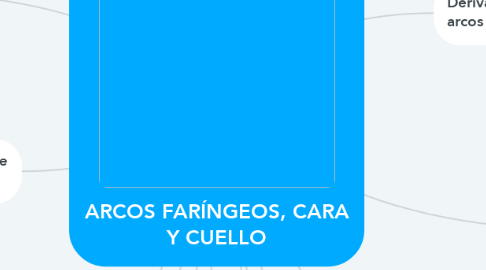 Mind Map: ARCOS FARÍNGEOS, CARA Y CUELLO