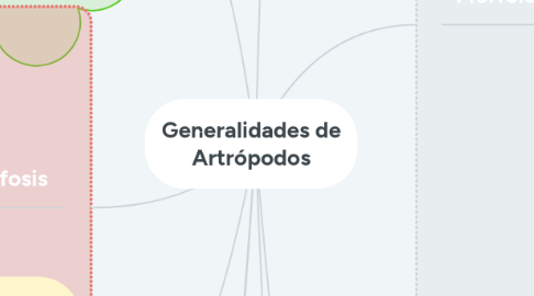 Mind Map: Generalidades de Artrópodos