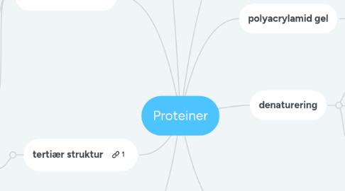 Mind Map: Proteiner