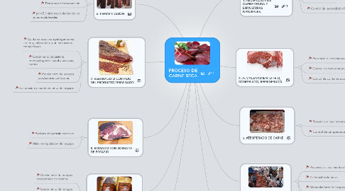 Mind Map: PROCESO DE CARNE SECA