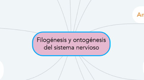 Mind Map: Filogénesis y ontogénesis del sistema nervioso