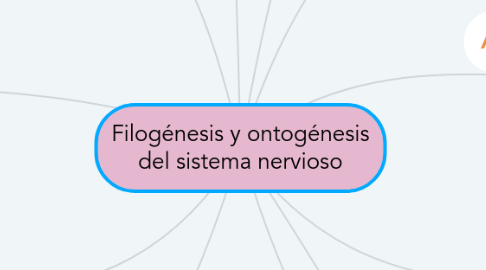 Mind Map: Filogénesis y ontogénesis del sistema nervioso