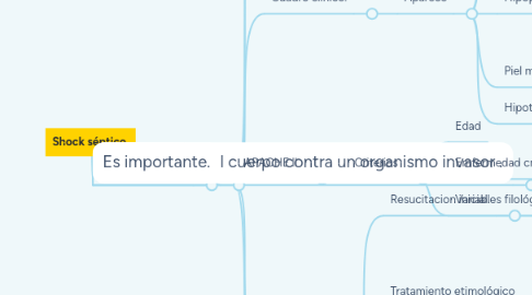 Mind Map: Shock séptico.