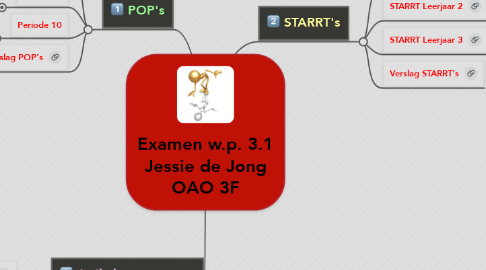 Mind Map: Examen w.p. 3.1 Jessie de Jong OAO 3F