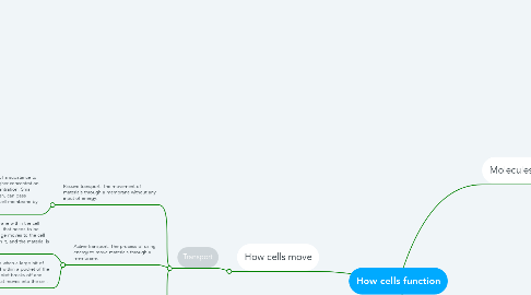 Mind Map: How cells function