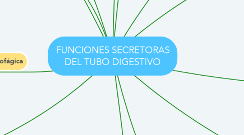 Mind Map: FUNCIONES SECRETORAS DEL TUBO DIGESTIVO