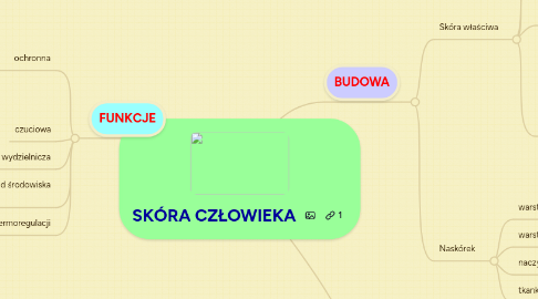 Mind Map: SKÓRA CZŁOWIEKA