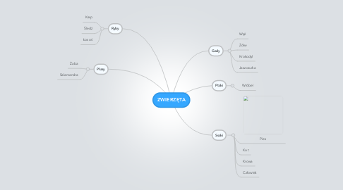 Mind Map: ZWIERZĘTA