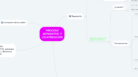 Mind Map: PROCESO REPARATIVO Y CICATRIZACIÓN