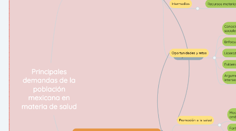 Mind Map: Principales demandas de la población mexicana en materia de salud