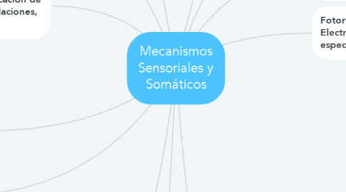 Mind Map: Mecanismos Sensoriales y Somáticos