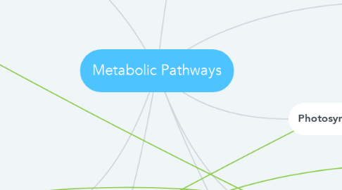 Mind Map: Metabolic Pathways