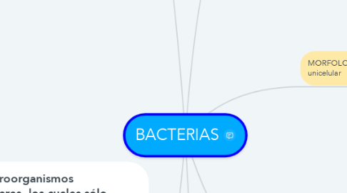 Mind Map: BACTERIAS