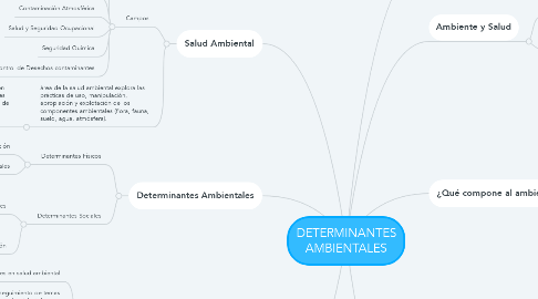 Mind Map: DETERMINANTES AMBIENTALES
