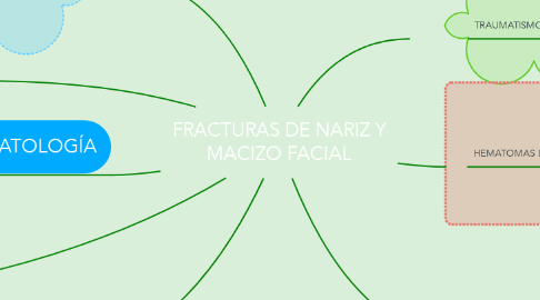 Mind Map: FRACTURAS DE NARIZ Y MACIZO FACIAL