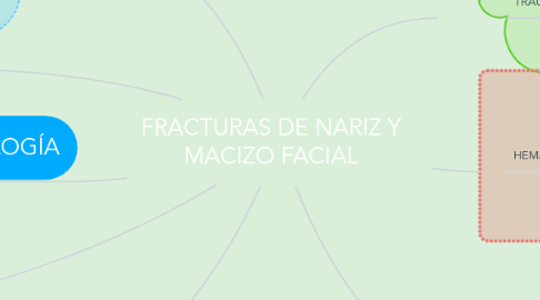 Mind Map: FRACTURAS DE NARIZ Y MACIZO FACIAL