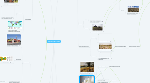 Mind Map: Environmental Factors