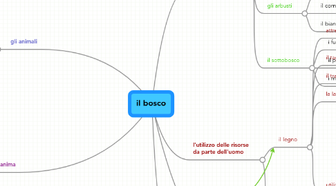 Mind Map: il bosco