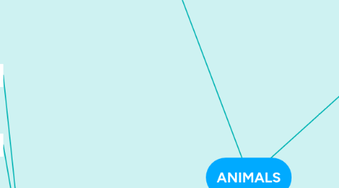 Mind Map: ANIMALS