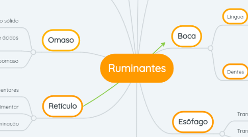 Mind Map: Ruminantes