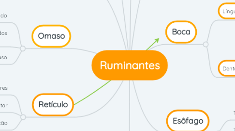 Mind Map: Ruminantes