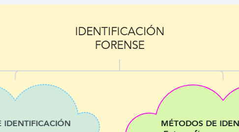 Mind Map: IDENTIFICACIÓN FORENSE