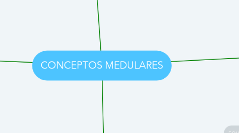 Mind Map: CONCEPTOS MEDULARES