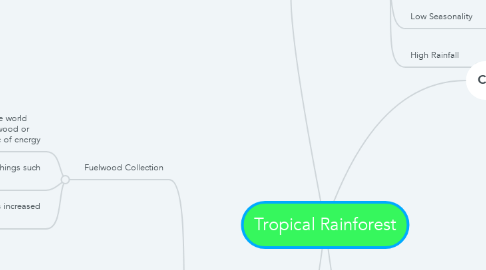 Mind Map: Tropical Rainforest