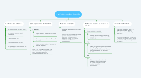 Mind Map: La Politique de a Famille