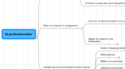 Mind Map: Se professionnaliser