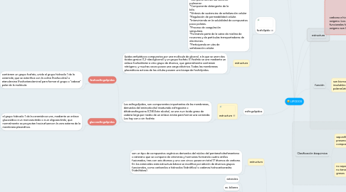 Mind Map: LIPODOS