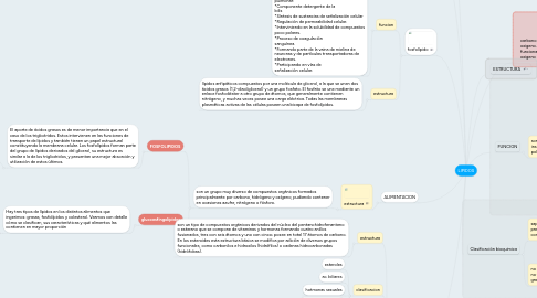 Mind Map: LIPIDOS