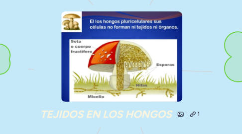 Mind Map: TEJIDOS EN LOS HONGOS