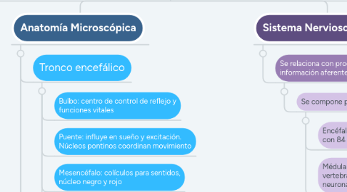 Mind Map: Sistema Nervioso