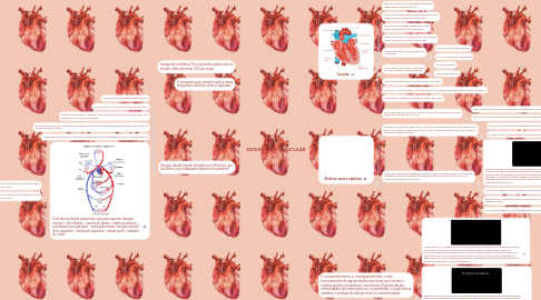 Mind Map: SISTEMA CARDIOVASCULAR