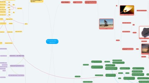 Mind Map: Environmentalism in Agriculture