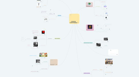 Mind Map: LITERATURA CONTEMPORANEA