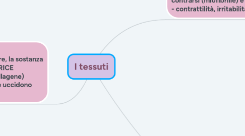 Mind Map: I tessuti