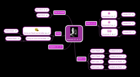 Mind Map: Examen 3.1