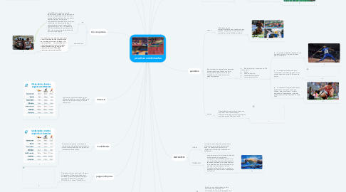 Mind Map: pruebas combinadas