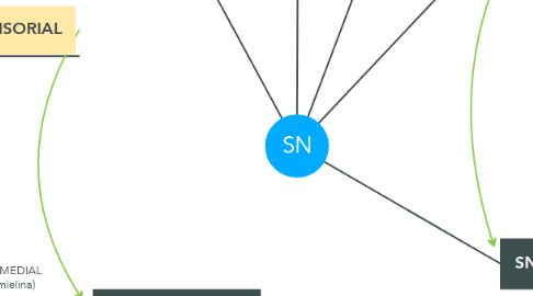 Mind Map: SN