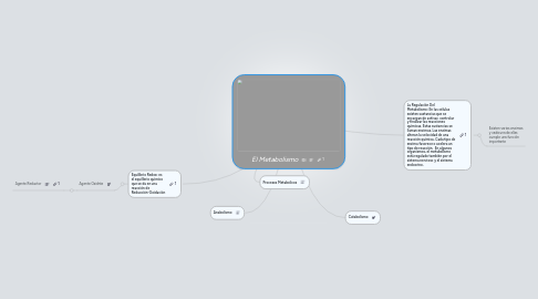 Mind Map: El Metabolismo