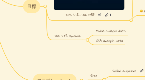 Mind Map: TOK STR Dev