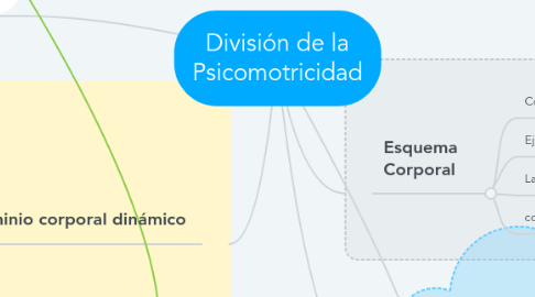 Mind Map: División de la Psicomotricidad