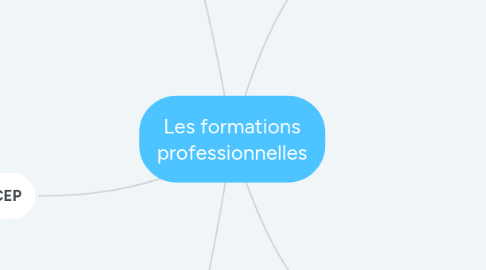 Mind Map: Les formations professionnelles